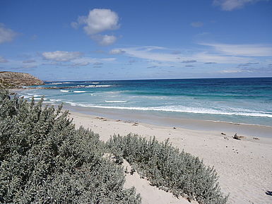 Kangaroo Island Kangaroo Island