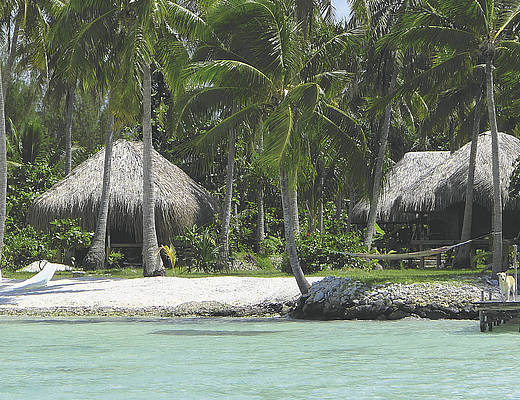 Pension Alice & Raphael | vakantie Bora Bora