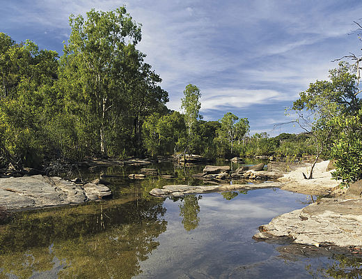 Twin Falls