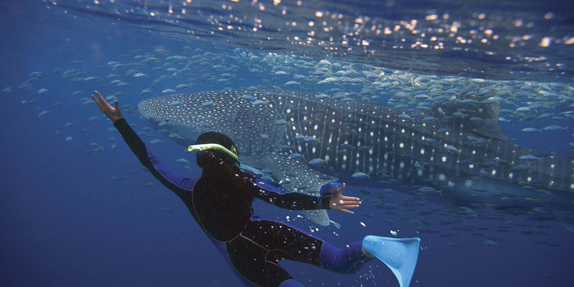 Ningaloo Reef | Northwest Peninsula