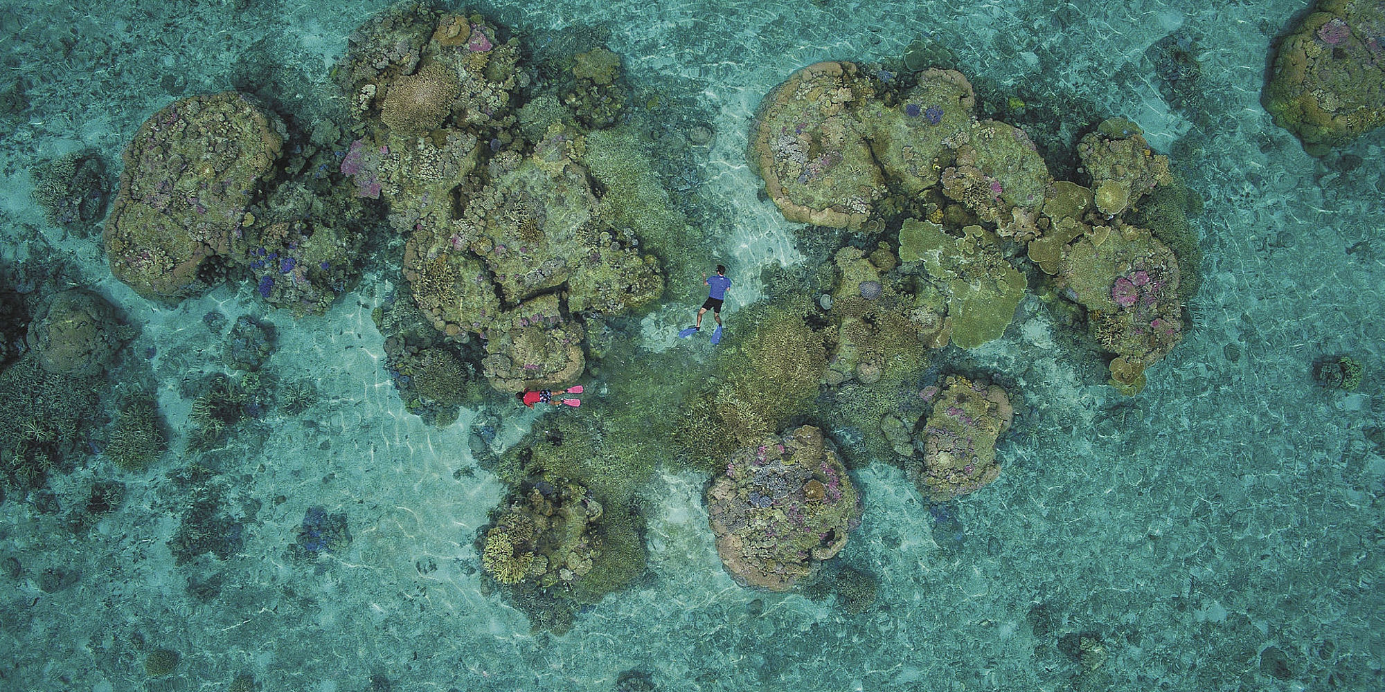 Snorkelen bij Sandy Beach, Haapai, Tonga