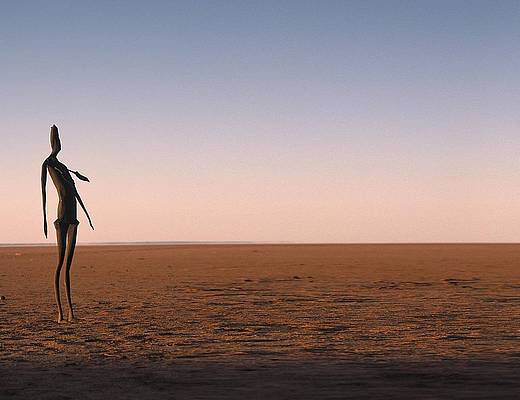 Lake Ballard Antony Gormley | rondreis Australië