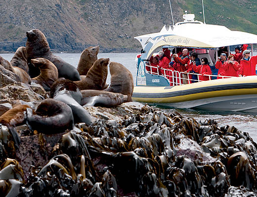 Bruny Island Cruise | excursies Australië