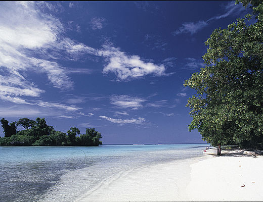 Facinerende cultuur Papoea Nieuw-Guinea