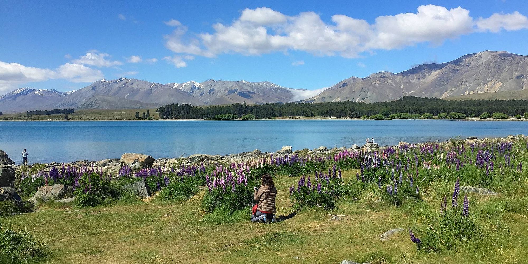 Lake Tekapo | groepsreis nieuw zeeland