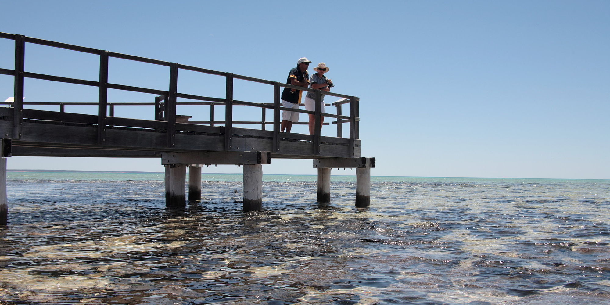 Hamelin Pool Stromatolites | rondreis Australië