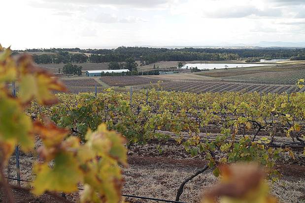 Wijngaarden in Hunter Valley Hunter Valley wijngaarden