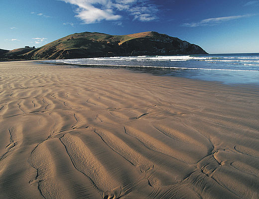 Highlights of The Catlins