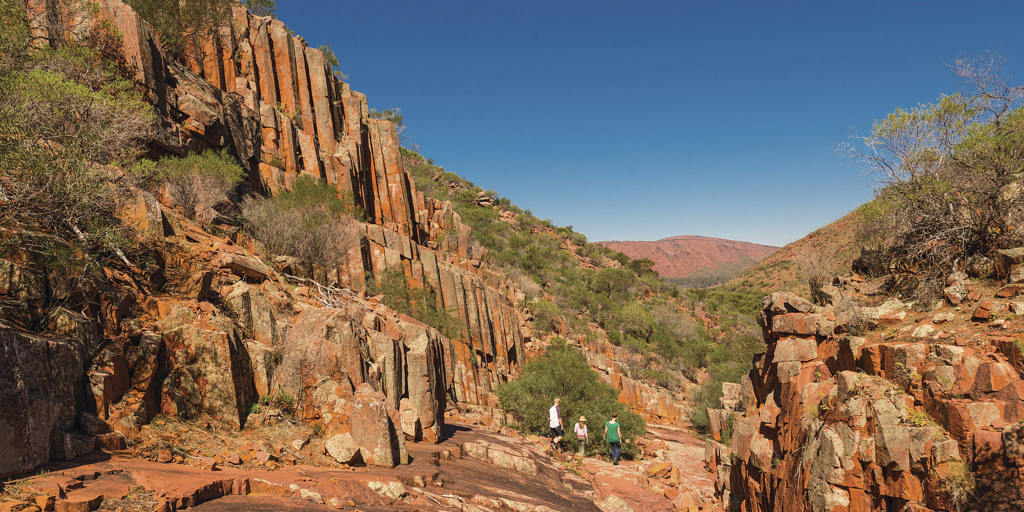 Gawler Ranges Organ Pipes | rondreis Australië