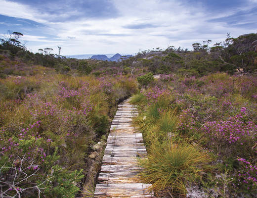 Freycinet National Park | rondreis Tasmanië