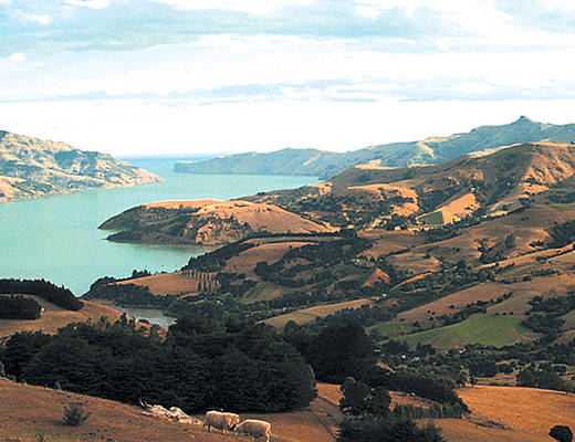 Classic New Zealand Wine Trail | Rondreis Nieuw-Zeeland