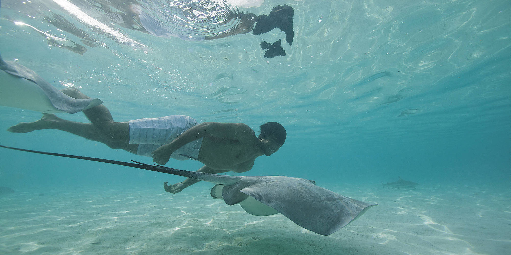 zwemmen met roggen | moorea