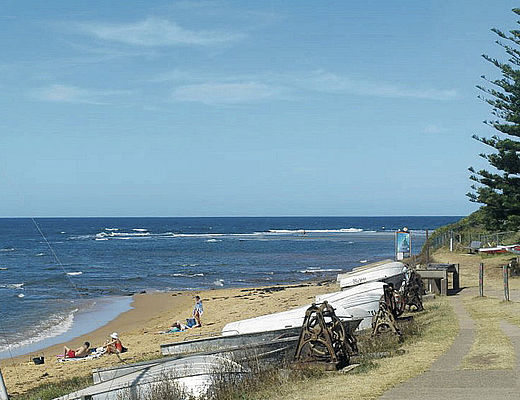 Dingo Tours Australia, Bridge Long reef Northern Beaches