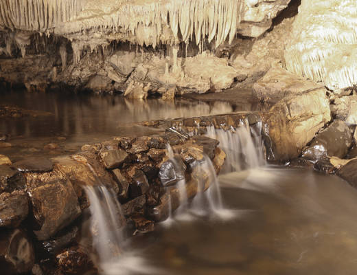 Mole Creek Caves | rondreis Tasmanië