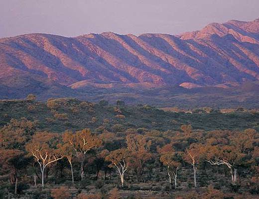MacDonnell Ranges zonsondergang | rondreis Australië