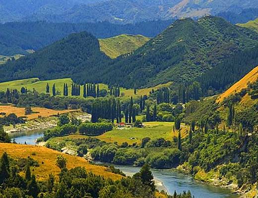 Whanganui | rondreis Nieuw-Zeeland
