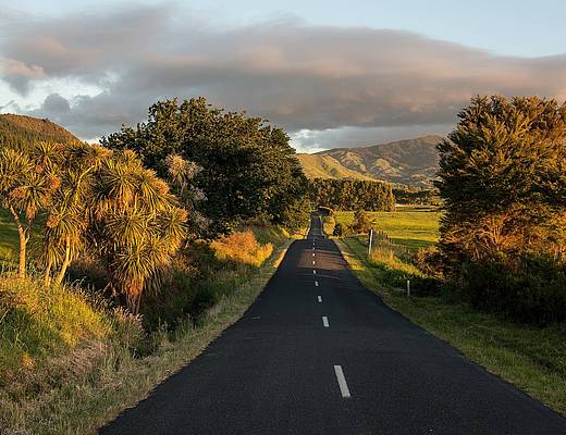 weg door heuvels | selfdrives nieuw zeeland