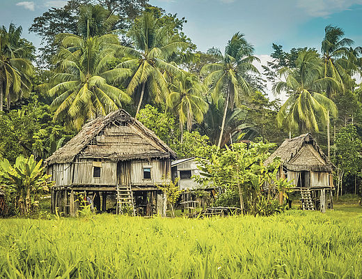 Papua New Guinea Highlights