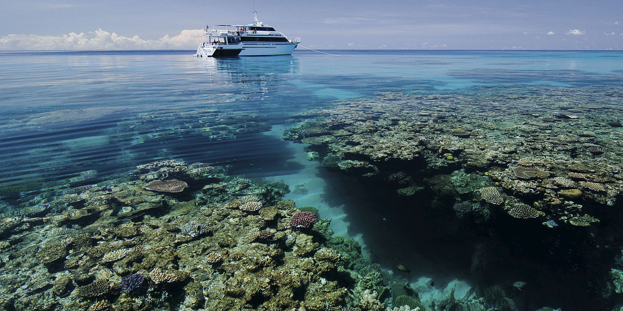 Leren duiken Great Barrier Reef