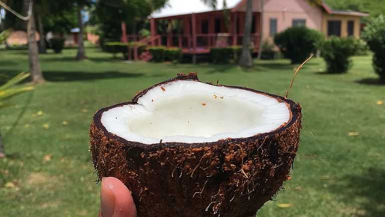 Kokosnoot