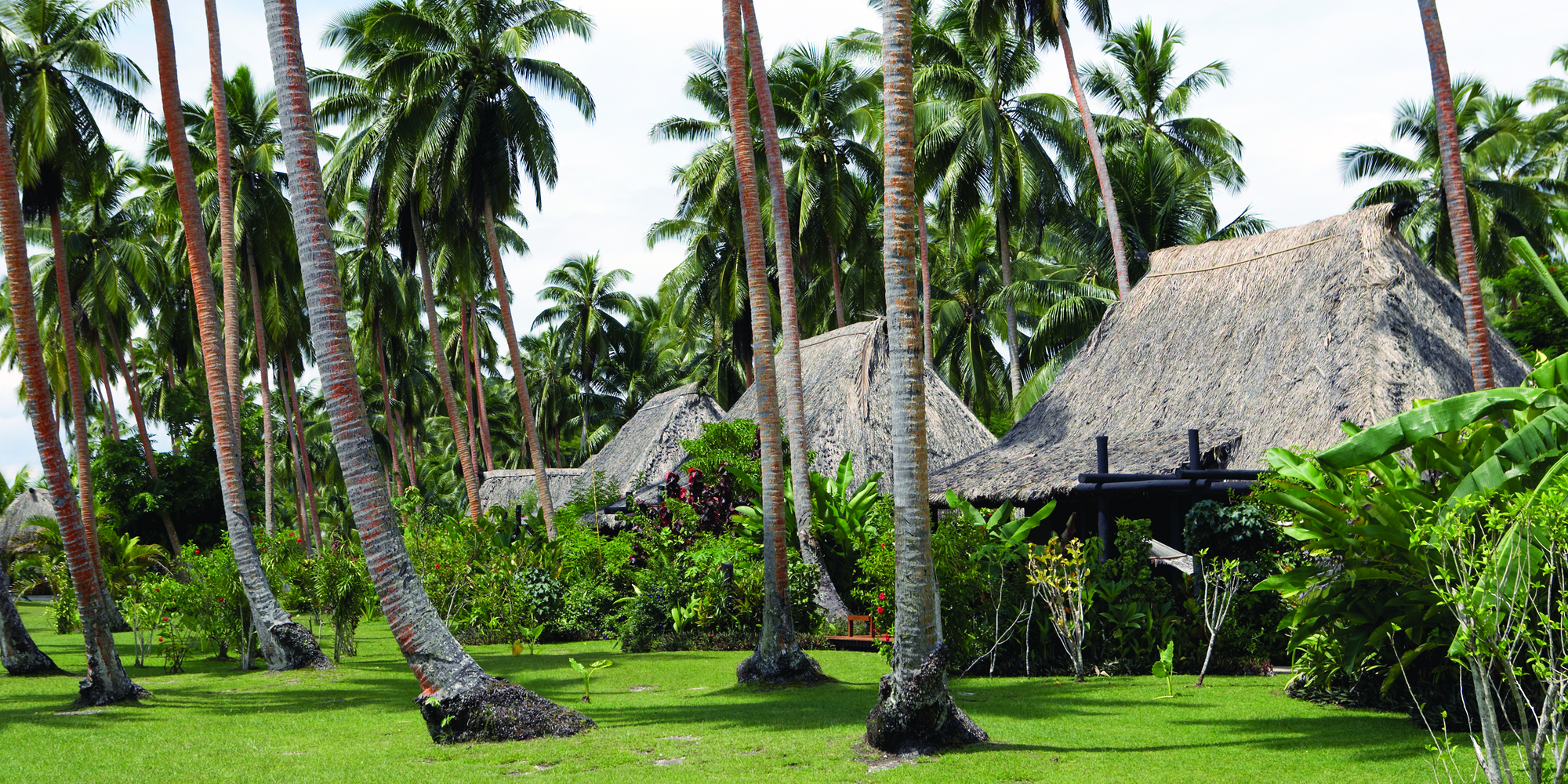 Bungalow met palmbomen | Vanua Levu