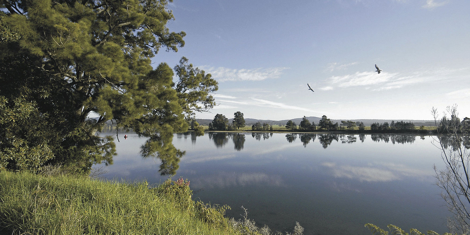 Moruya River