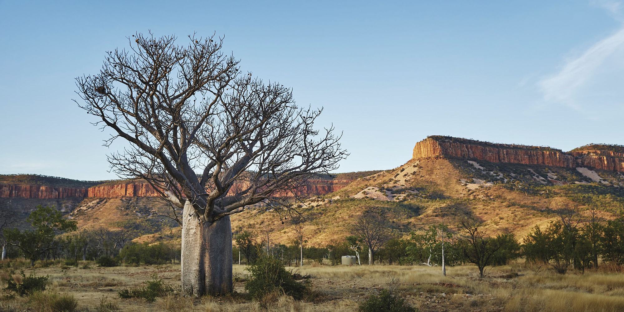 Gibb River Road | Cockburn Ranges
