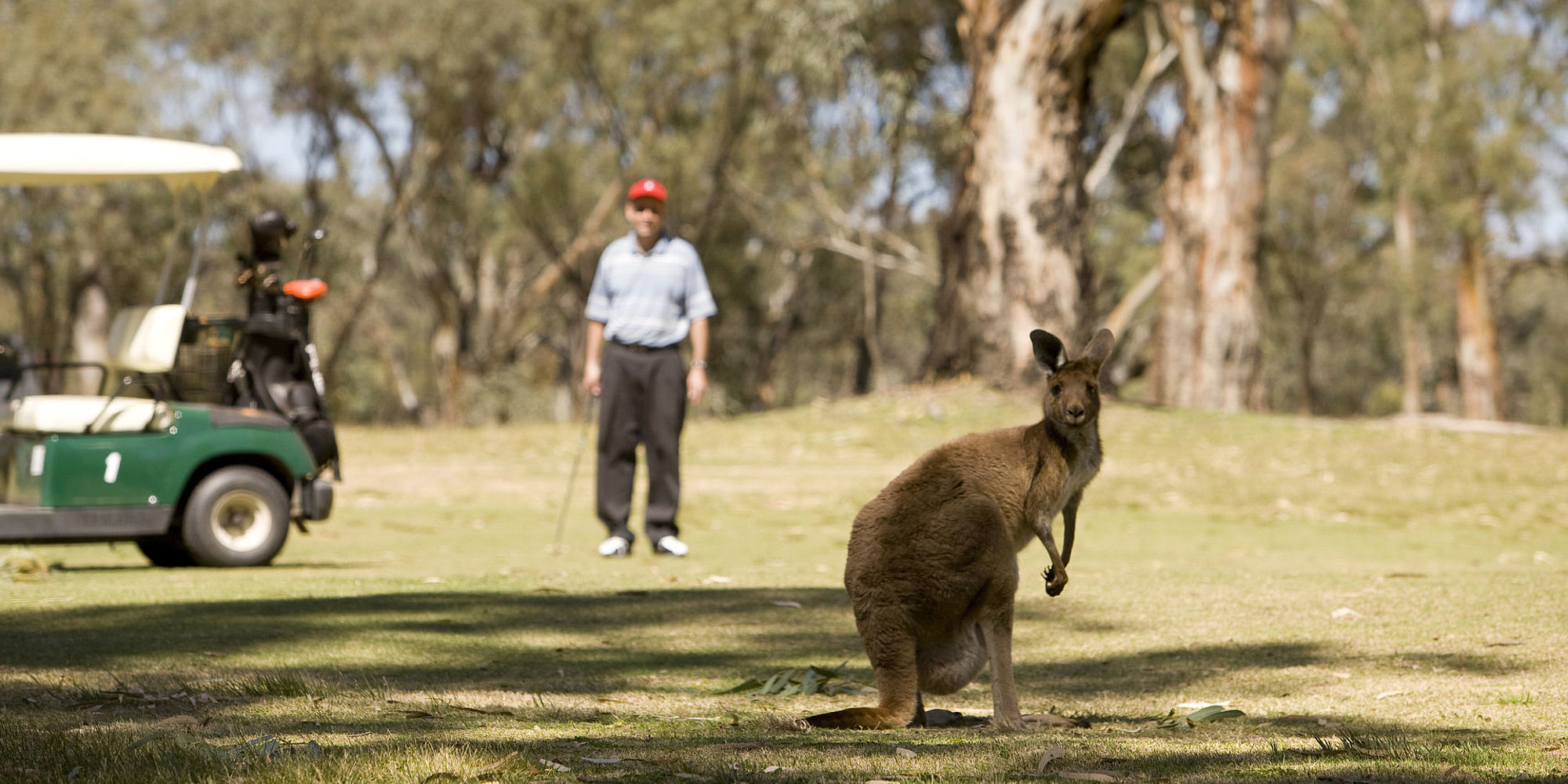 Coomealla Golfclub | vakantie australie