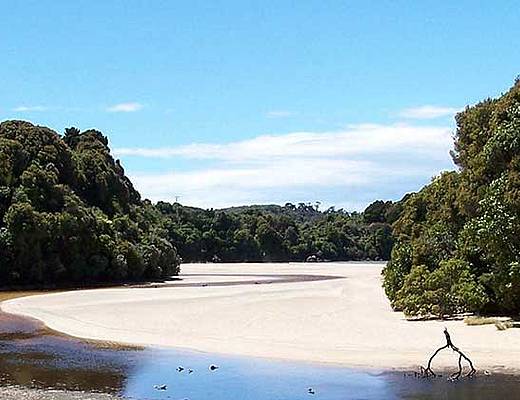 Stewart Island | Rondreis Nieuw-Zeeland