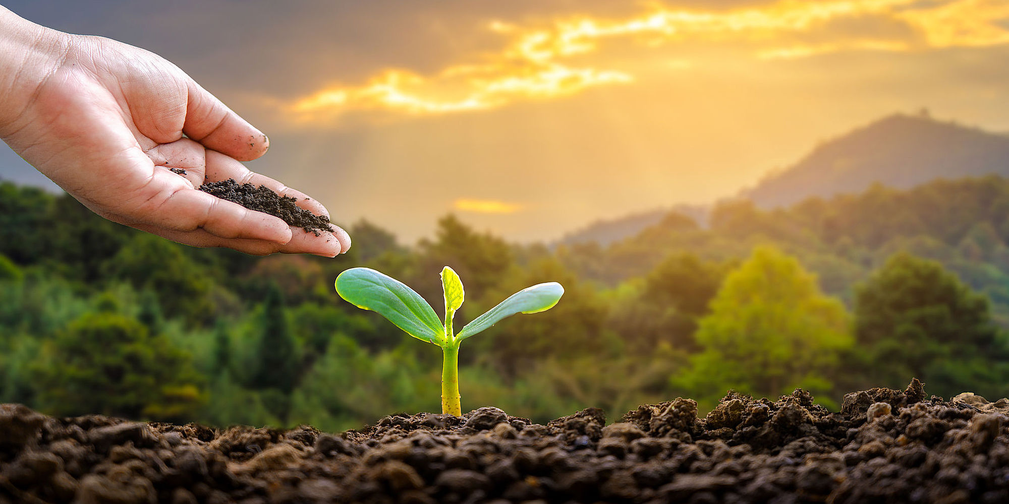 Duurzaamheid | Pacific Island Travel