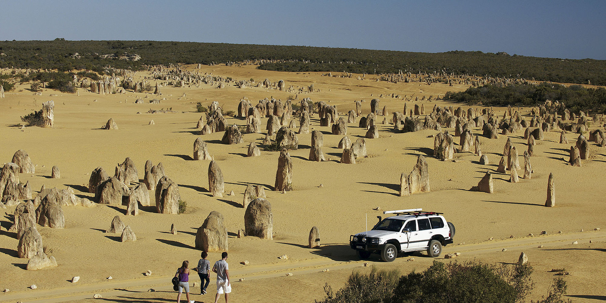 Nambung NP