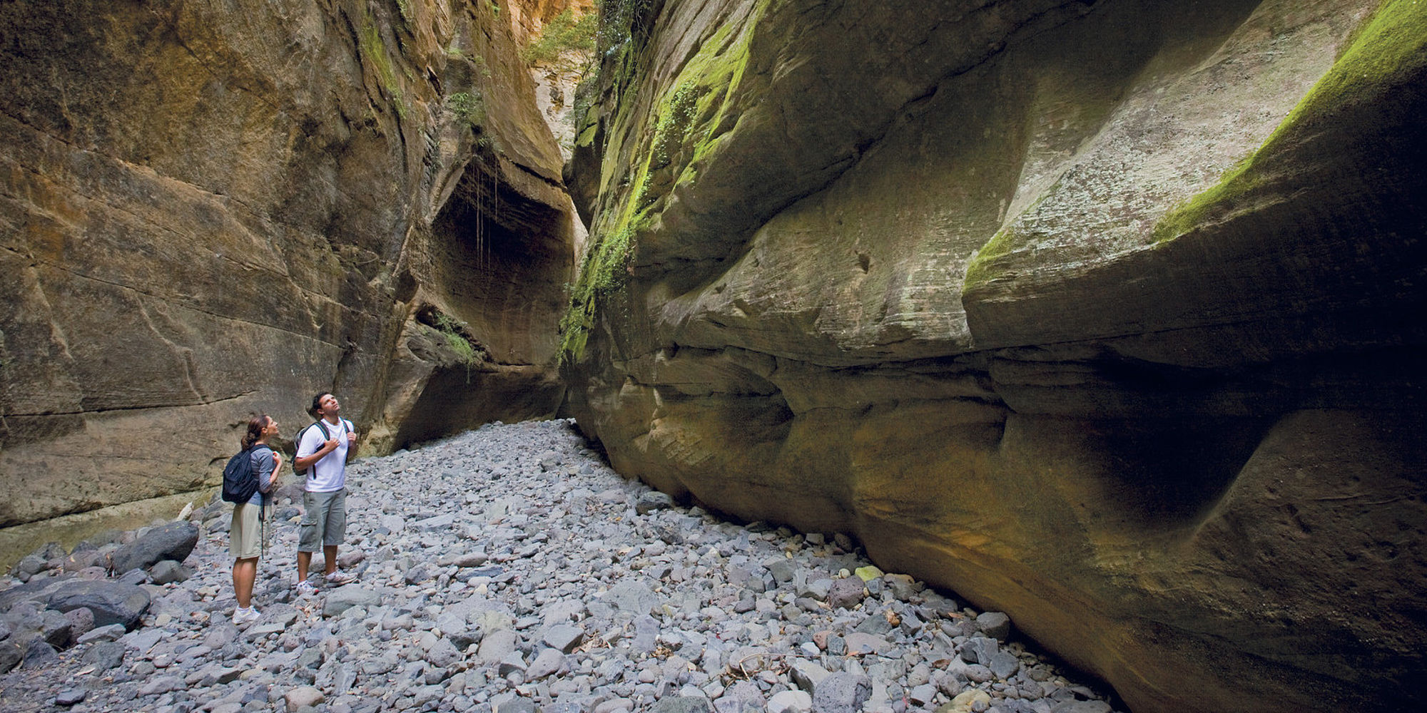 Bowinda Gorge Carnarvon National Park | rondreis Australië