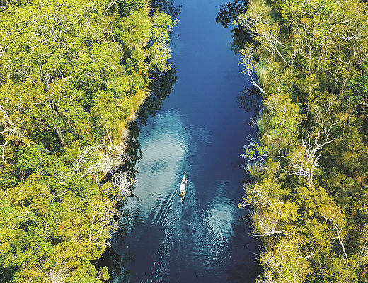 Noosa Everglades, Kanotocht