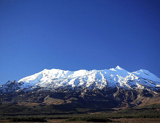 Mt Ruapehu Crater Walk