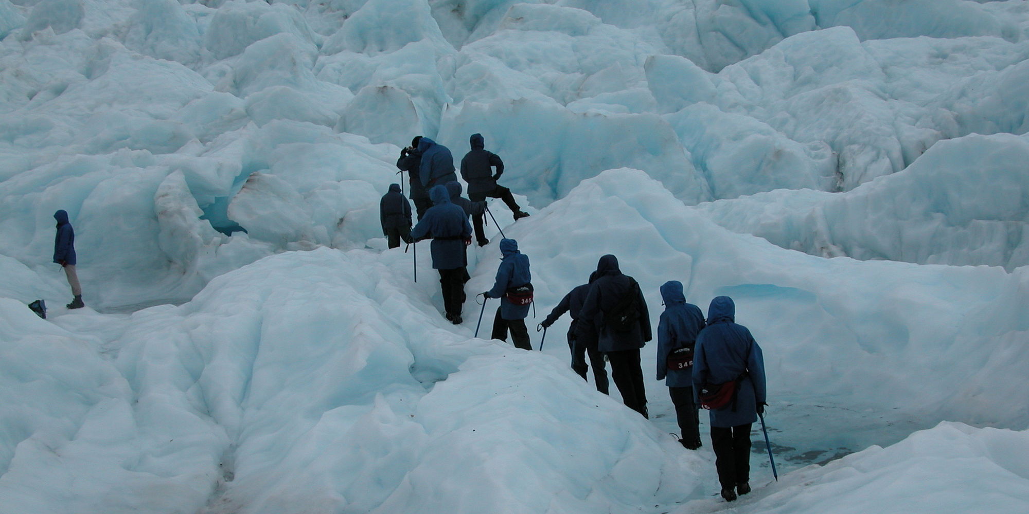 Franz Josef Glacier beklimmen | vakantie nieuw zeeland