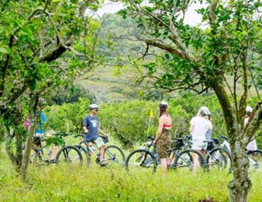 Storytellers Eco Cycle Tour | Excursie Cook Eilanden