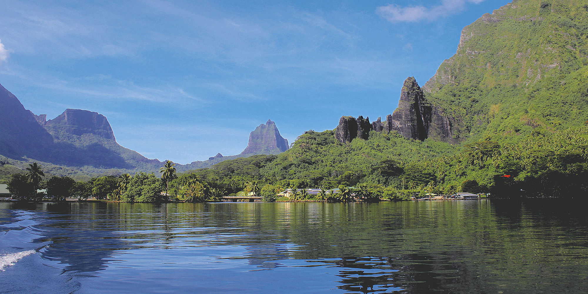 Moorea dolfijn en Whale Watching