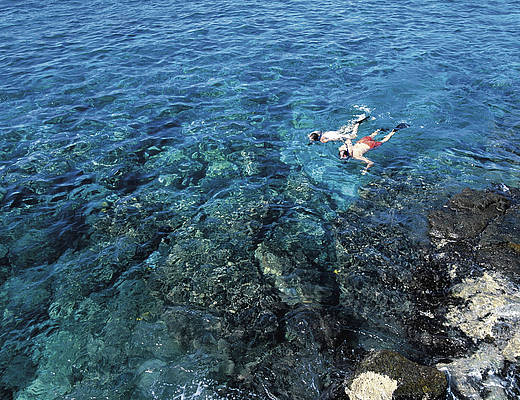 snorkelen | maui