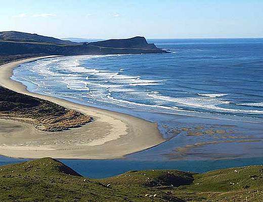 Otago Peninsula | Rondreis Nieuw-Zeeland