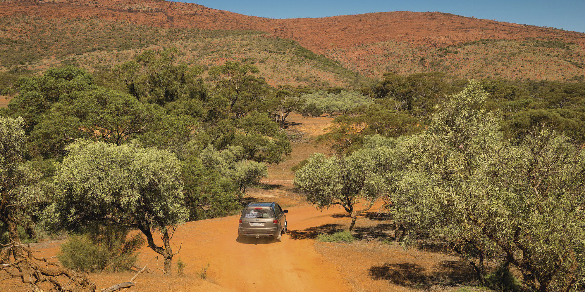 Gawler Ranges met huurauto | Auto huren australie