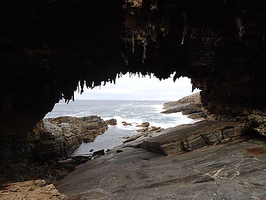 Kangaroo Island Kangaroo Island