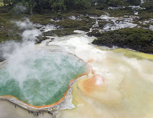 Rotorua Campagne Pool