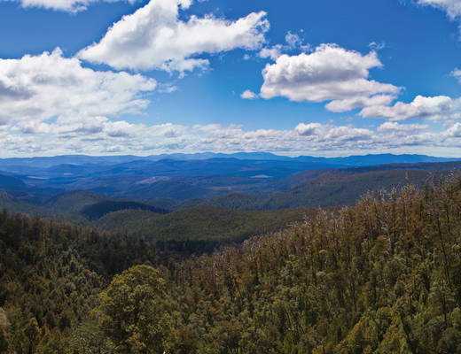 Hartz Mountains National Park | rondreis Tasmanië