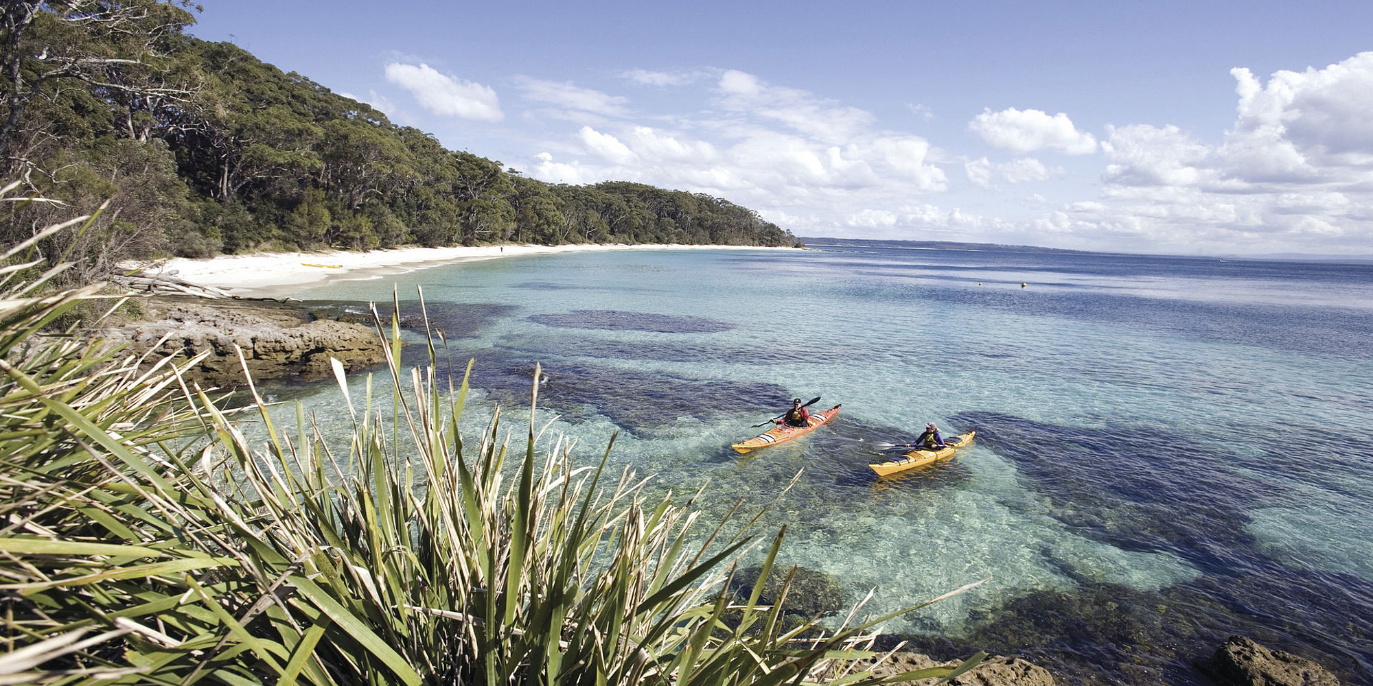 Jervis Bay | rondreis australie