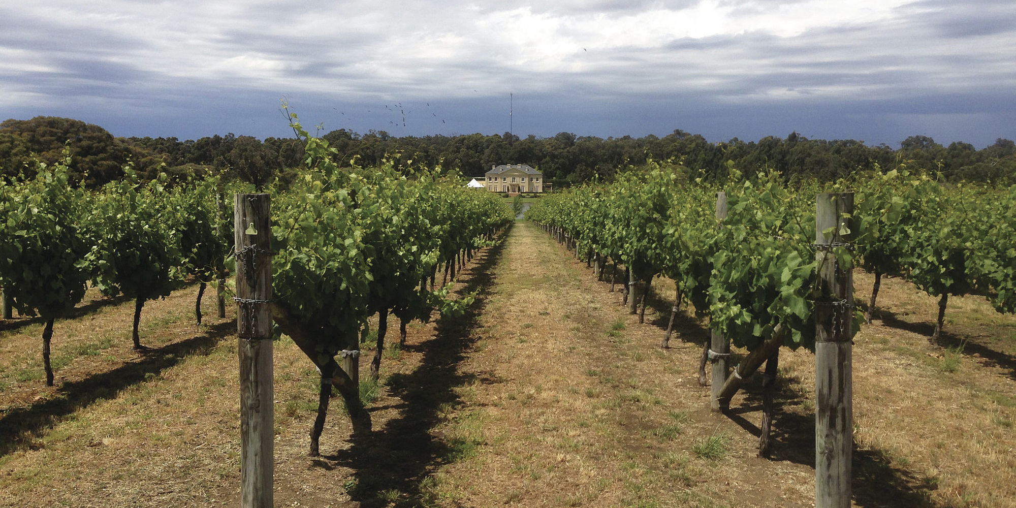 Margaret River Fraser Gallop Estate