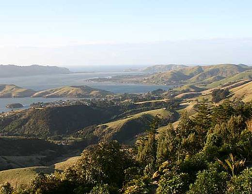 Dunedin | Rondreis Nieuw-Zeeland