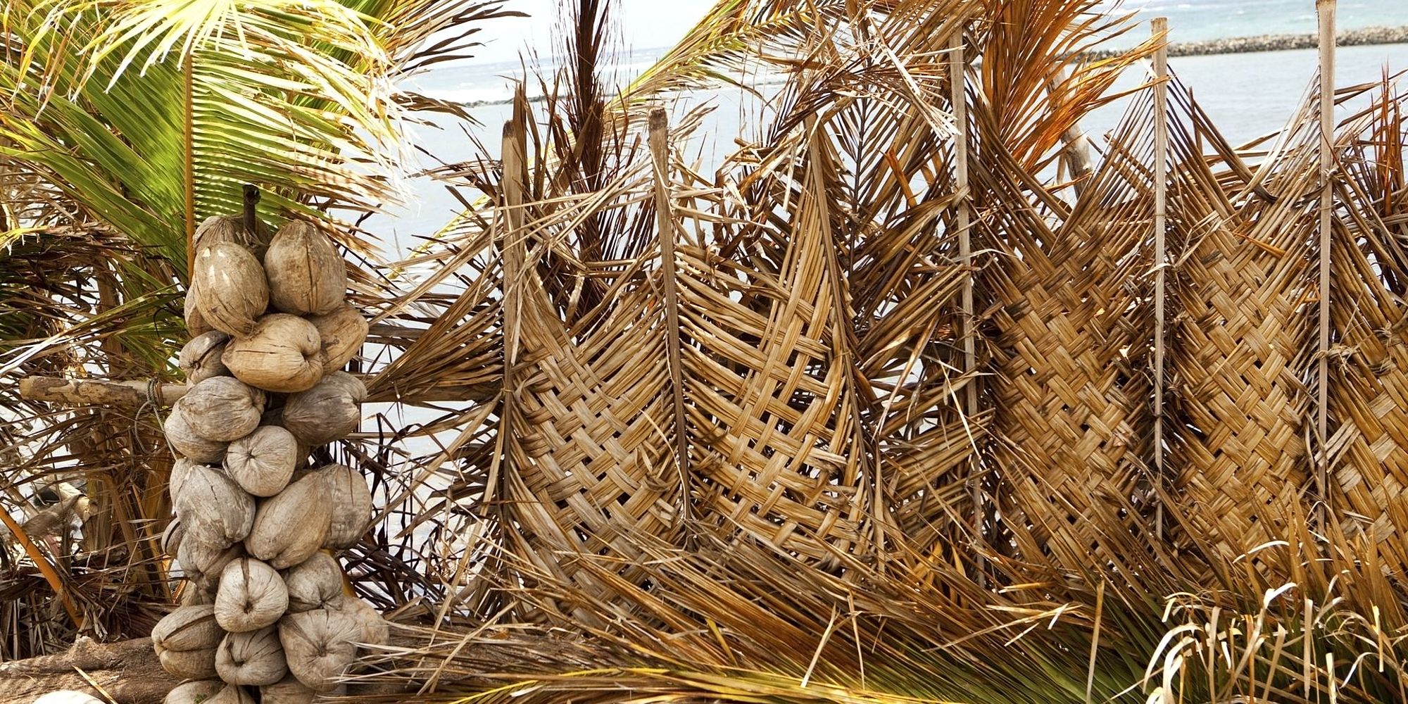 Molokai handwerk | vakantie Hawaii