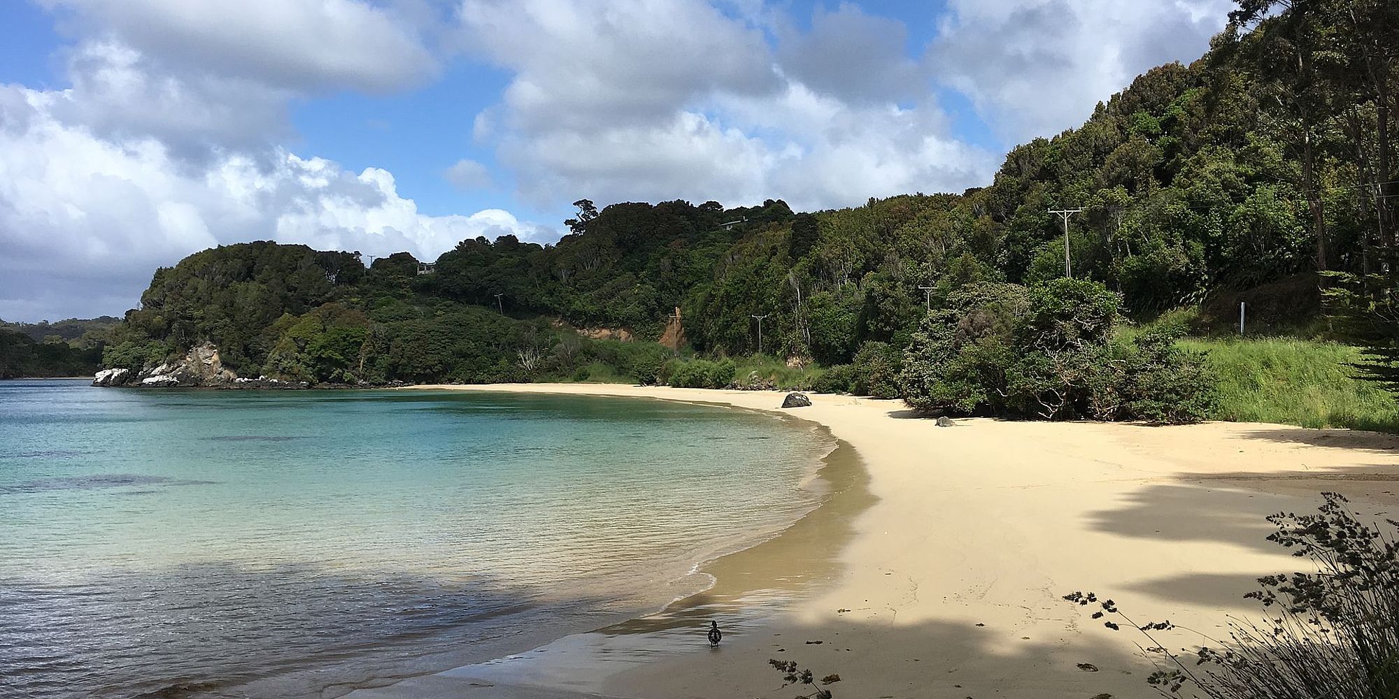 Stewart Island | vakantie Nieuw-Zeeland
