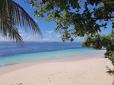 Strand op Savaii Savaii strand | vakantie Samoa