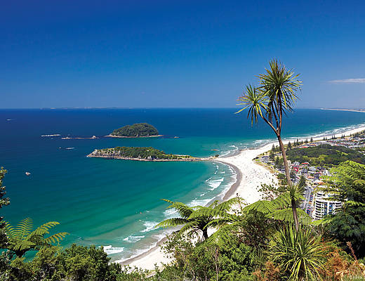 Bay of Plenty | vakantie Nieuw-Zeeland